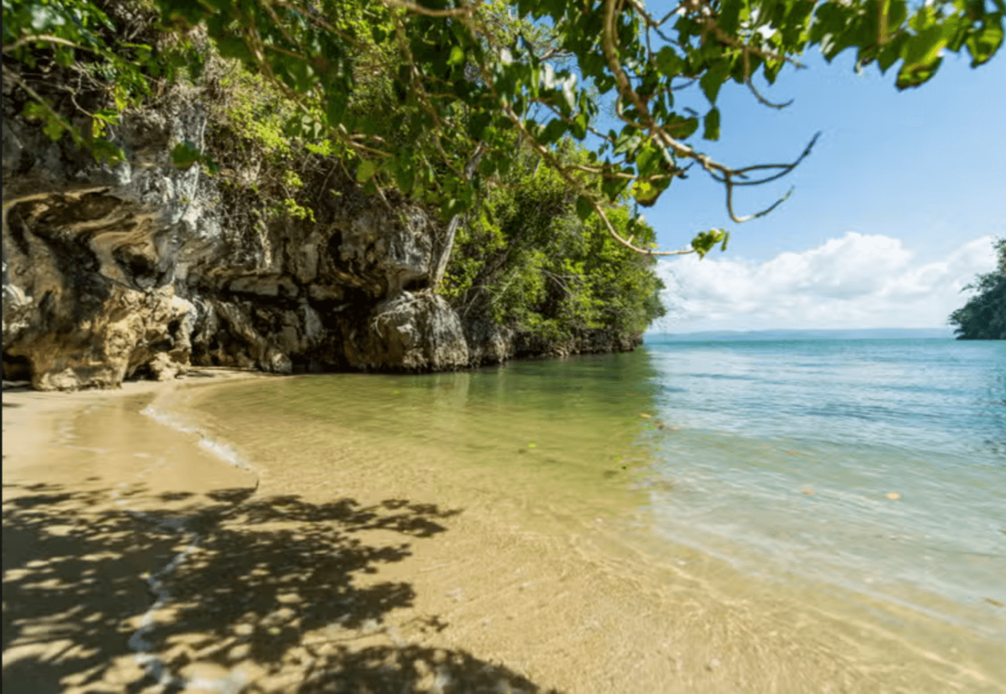 Small boat excursion navigating mangrove channels and wildlife in Dominican Republic Tours & Excursions | Reservando Aventuras