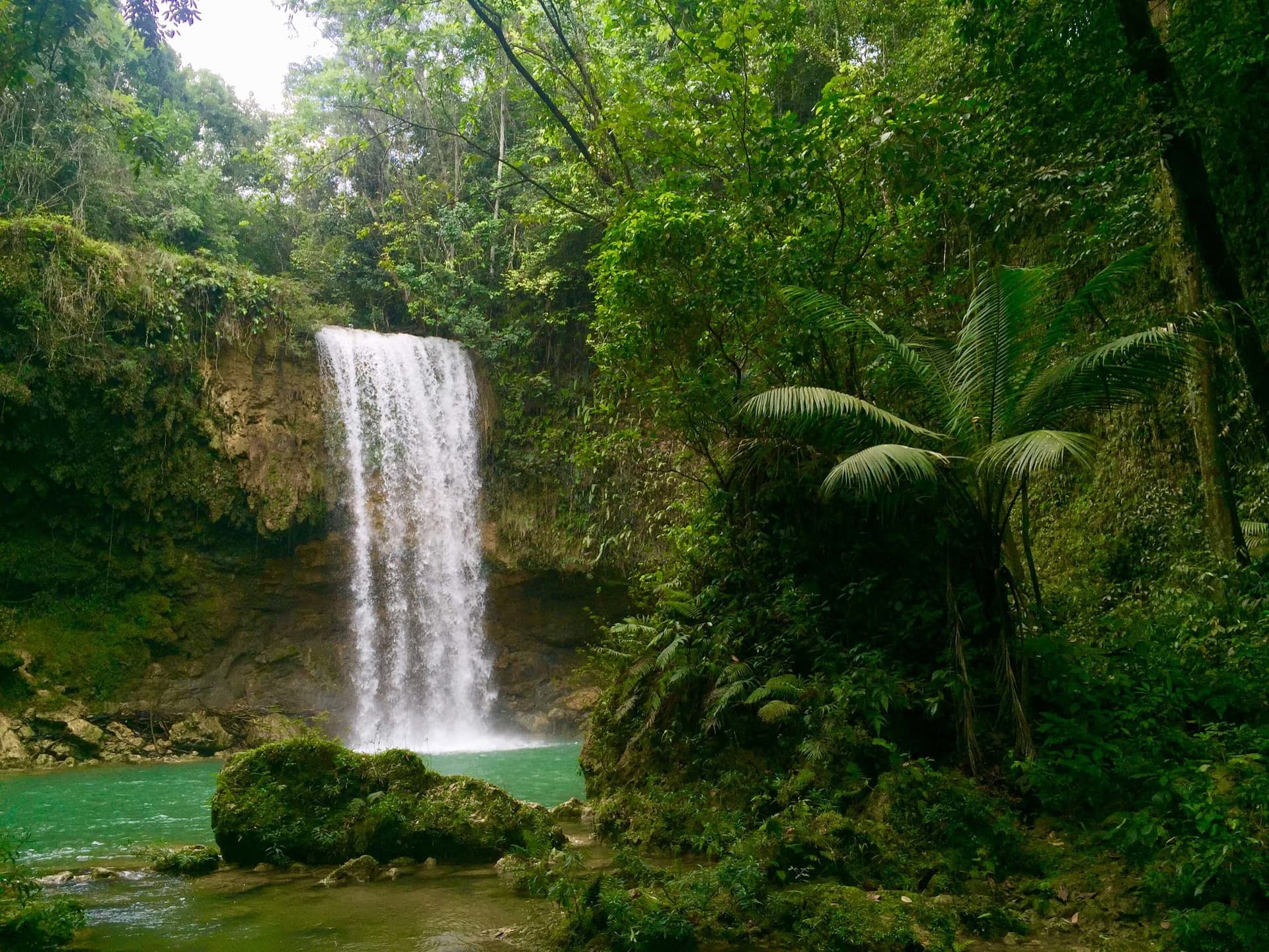 Ancient Taíno petroglyphs and secret cave chambers in Dominican Republic Tours & Excursions | Reservando Aventuras