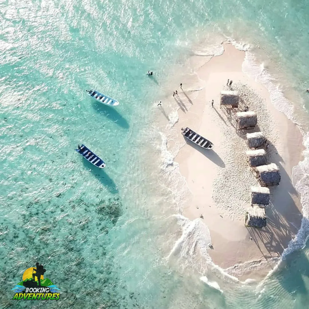 Paradise Island & The Mangroves, Snorkeling (Cayo Arena) Day Pass. Half Day Trip. 2 Paradise Island & The Mangroves, Snorkeling (Cayo Arena) Day Pass. Half Day Trip. - Imagen 2