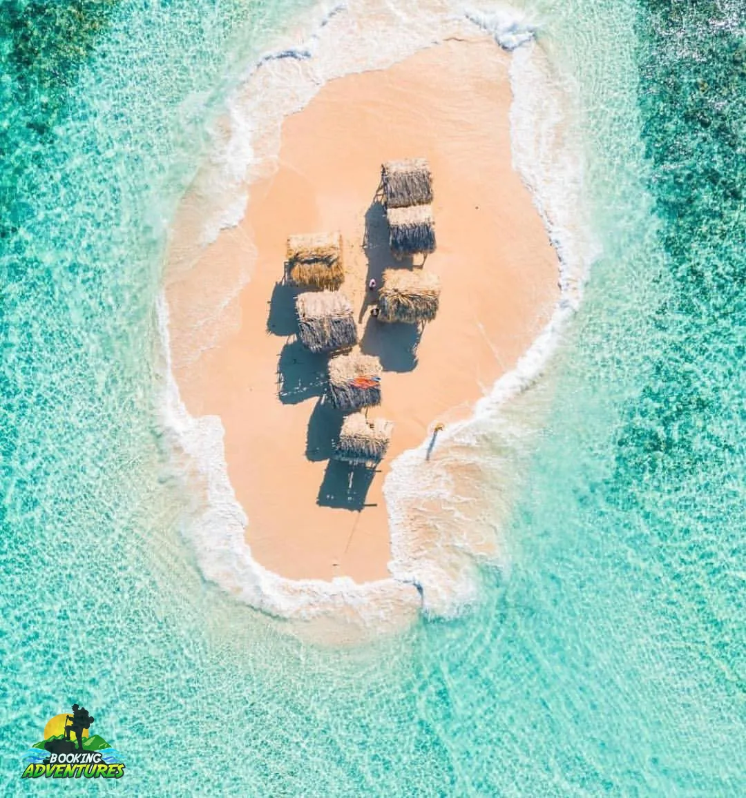 Paradise Island & The Mangroves, Snorkeling (Cayo Arena) Day Pass. Half Day Trip. 11 Paradise Island & The Mangroves, Snorkeling (Cayo Arena) Day Pass. Half Day Trip. - Imagen 11