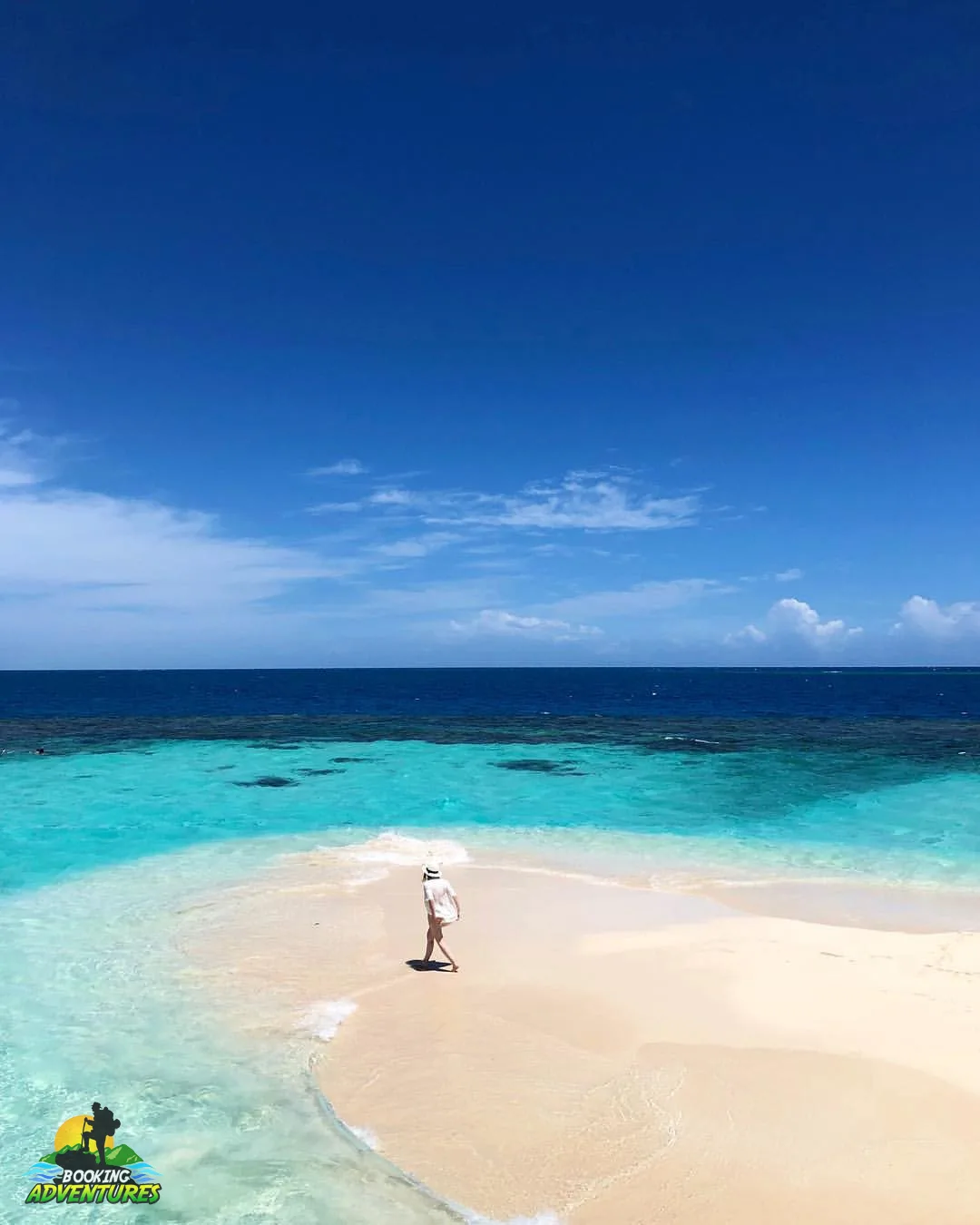 Paradise Island & The Mangroves, Snorkeling (Cayo Arena) Day Pass. Half Day Trip. 5 Paradise Island & The Mangroves, Snorkeling (Cayo Arena) Day Pass. Half Day Trip. - Imagen 5