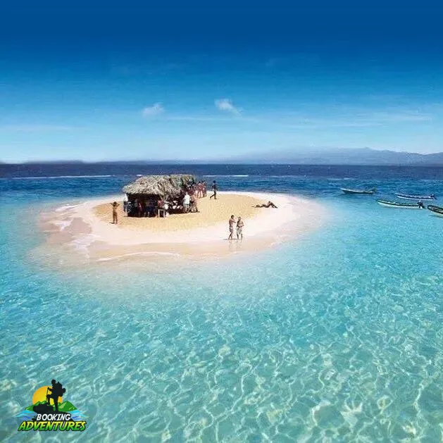 Paradise Island & The Mangroves, Snorkeling (Cayo Arena) Day Pass. Half Day Trip. 6 Paradise Island & The Mangroves, Snorkeling (Cayo Arena) Day Pass. Half Day Trip. - Imagen 6