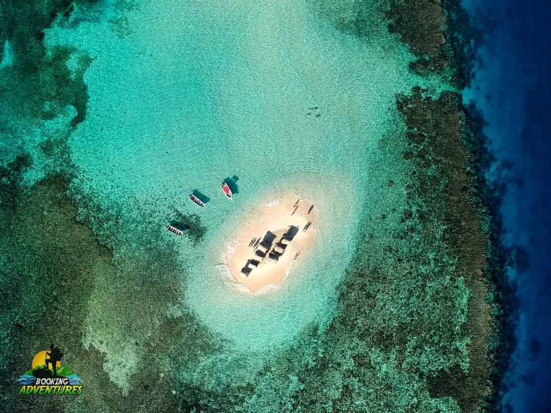 Paradise Island & The Mangroves, Snorkeling (Cayo Arena) Day Pass. Half Day Trip. 8 Paradise Island & The Mangroves, Snorkeling (Cayo Arena) Day Pass. Half Day Trip. - Imagen 8