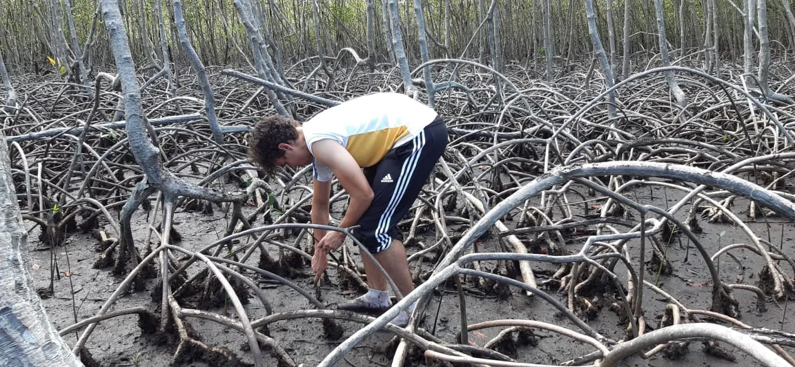 Mangroves Reforestation in Los Haitises With Locals on Kayak 31 Mangroves Reforestation in Los Haitises With Locals on Kayak - Image 31