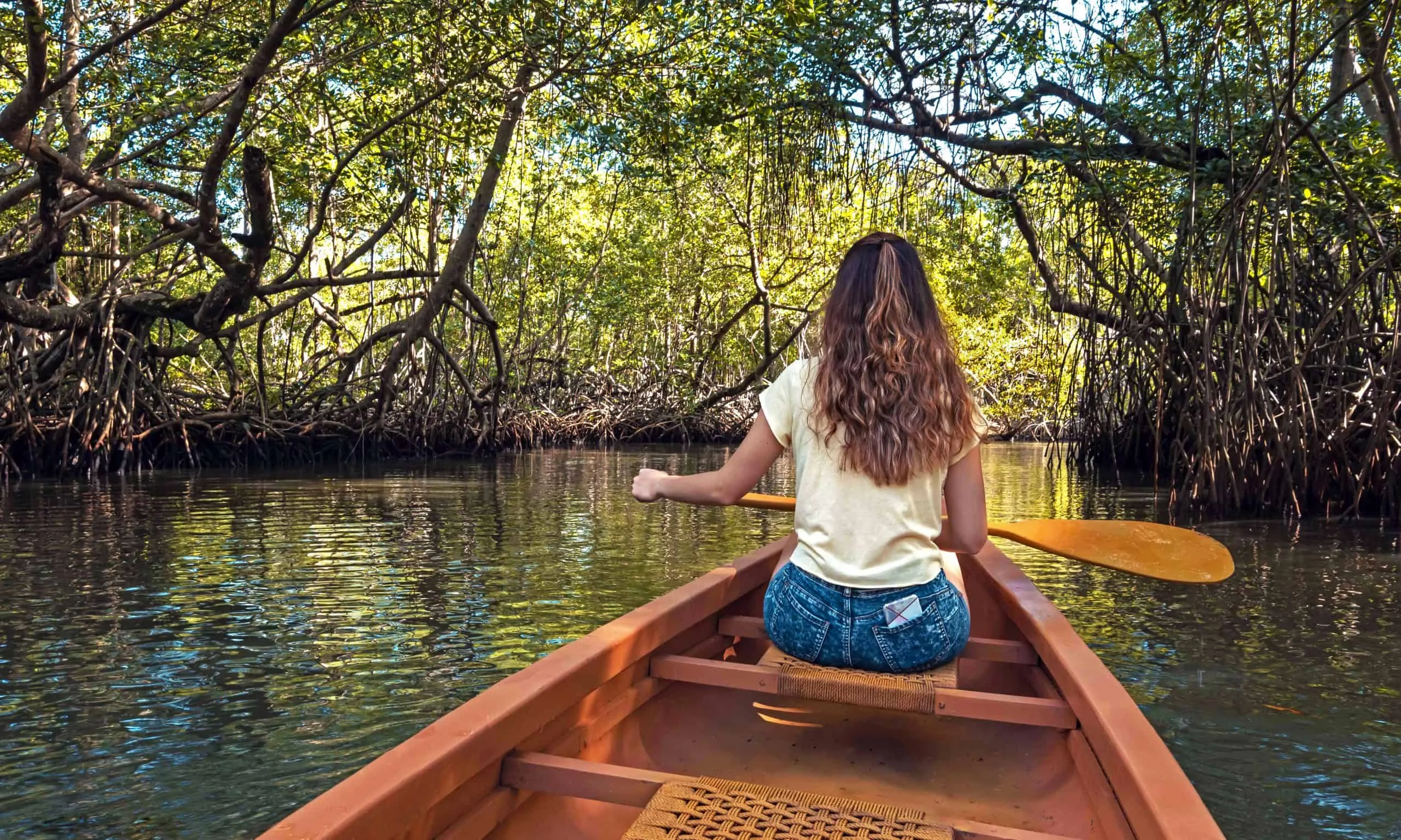Taino's Canoe in Los Haitises National Park - Image 7