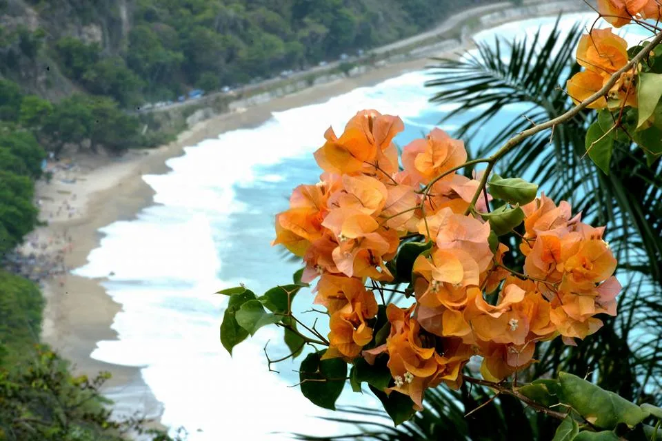 Hiking trails in Barahona (Dominican Republic). Cachote Mountains, Tropical Fruits & Swim 10 Hiking trails in Barahona (Dominican Republic). Cachote Mountains, Tropical Fruits & Swim - Image 10