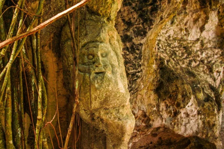 Taino's Canoe in Los Haitises National Park - Image 22
