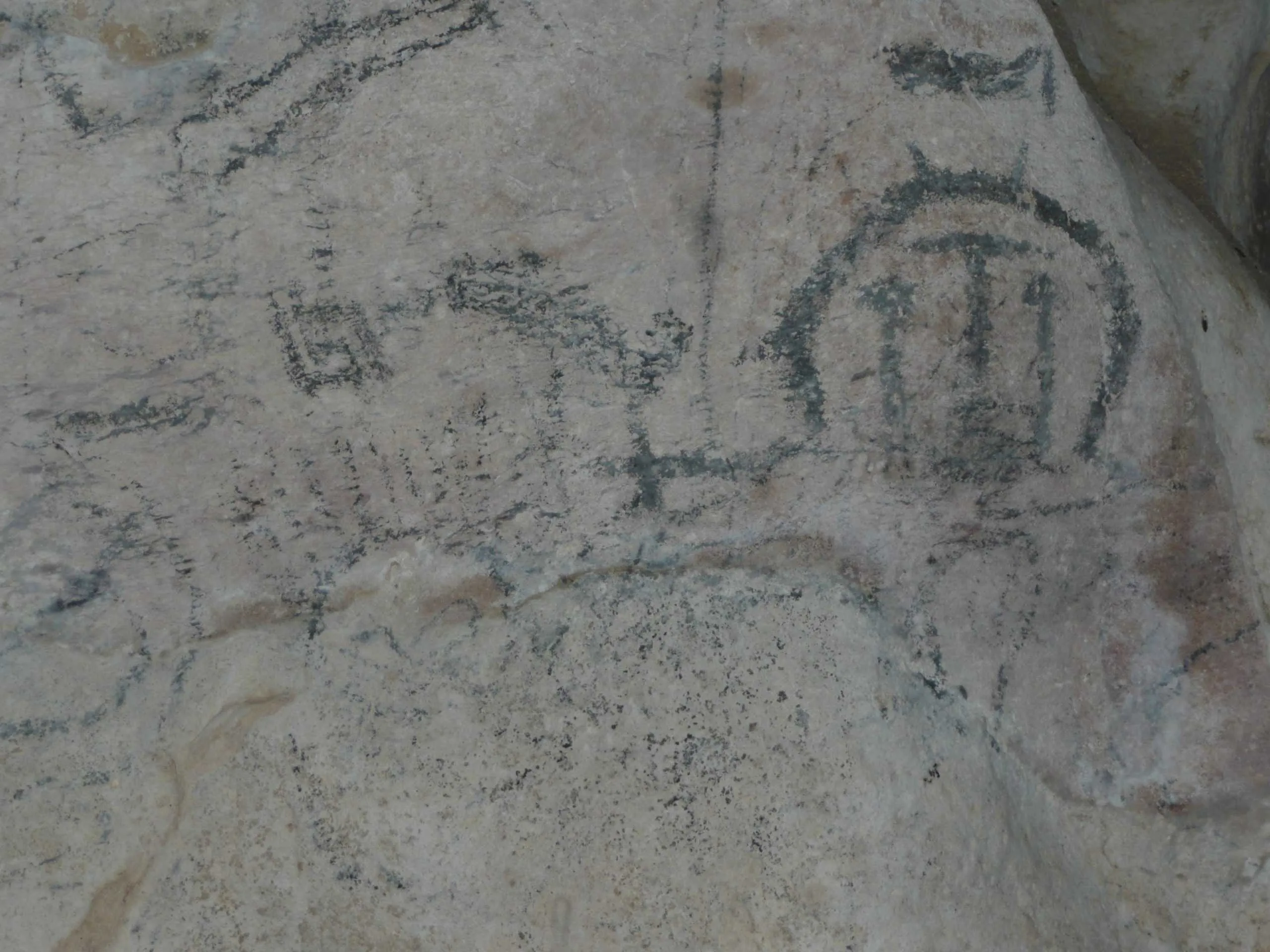 Taino's Canoe in Los Haitises National Park - Image 24